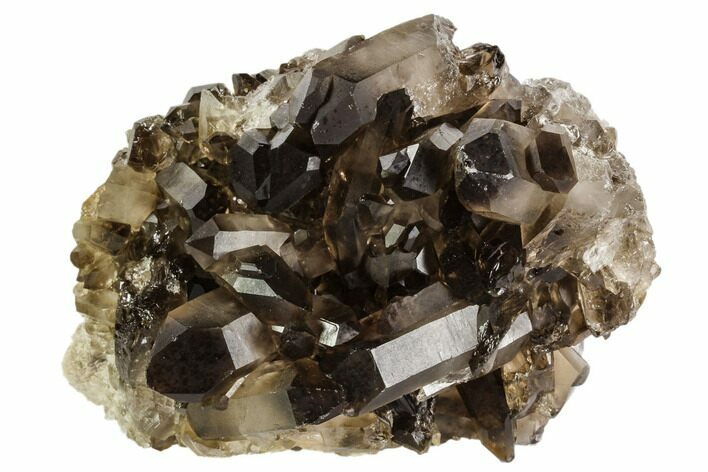 Dark Smoky Quartz Crystal Cluster - Brazil #106971